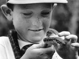 Throwback Thursday: Old Yarrawonga Zoo