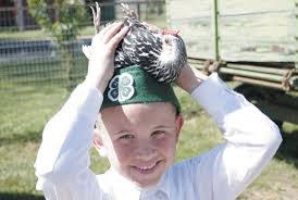 Dianne Kincaid's Instagram, Twitter & Facebook