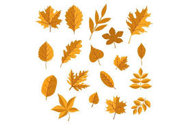 Download Orange Autumn Leaves Vector Graphic By Grappix Studio Di 2020 PSD Mockup Templates