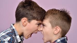 Struggle (physical) quarrel, argument fight, bout; Asi Debes Mediar En Una Pelea Entre Hermanos