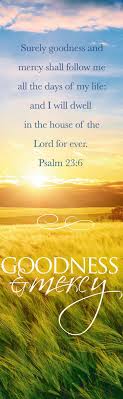 Surely goodness and mercy shall follow me all the days of my life. And I Will Dwell In The House Of The Lord For Ever King James Version Kjv
