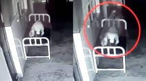 We did not find results for: Watch Creepy Video Footage Shows Soul Leaving A Body In A China Hospital Trending News The Indian Express