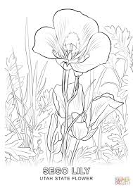 Utah State Flower Coloring Page Free Printable Coloring Pages Flower Coloring Pages Coloring Pages Coloring Books