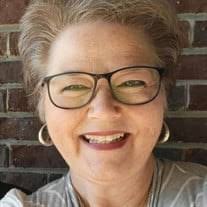 Lisa Lynn Robins Obituary (2024)