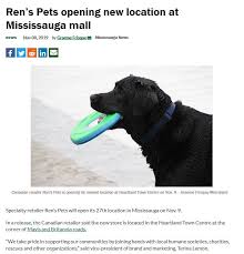The mississauga news is a local tabloid newspaper in mississauga, ontario. Ren S Pets