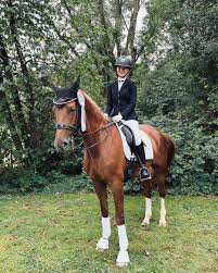 Profil von Ausbildungsstall Ralph Hock