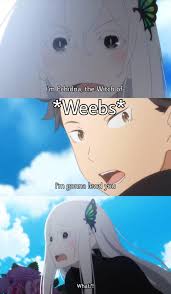 Pin By Anime Memes On Anime Memes Anime Memes Otaku Anime Funny Anime Memes