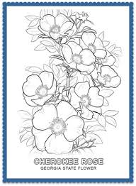 The azalea, (rhododendron spp.,) was adopted as the official state wild flower of georgia on april 19, 1979. Georgia State Flower Cherokee Rose By Usa Facts For Kids Rose Coloring Pages Flower Coloring Pages Flower Drawing
