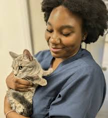 Veterinarian In Charlotte, NC