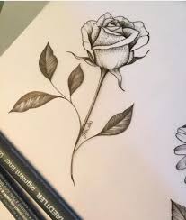 Rose Uncategorized Roses Drawing Flower Drawing Rose Drawing