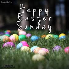May the morning of easter bring you beauty of spring colours, a large basket of eggs and a plenty of joy! Happy Easter Morning Quotes 25 Best Easter Quotes Inspiring Easter Sayings For The 2020 Holiday Dogtrainingobedienceschool Com