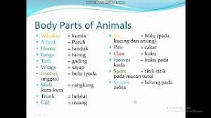 Best example of descriptive text about animal with generic &mldr; Kelas 7 Bahasa Inggris Bab 8 Describing Animal Part 1 Youtube
