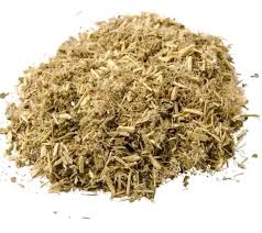 Image result for Xysmalobium undulatum