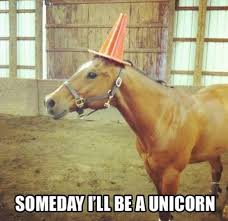 Image result for funny horse
