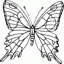 Ausmalbilder Schmetterling Zum Ausdrucken Für Kinder Within