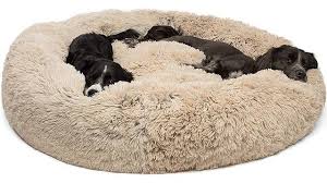 Best Dog Beds For Large Breeds Review 2021 The Sleep Judge