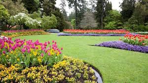 50 backyard landscaping ideas to inspire you this year. Best Backyard Landscaping Ideas Of 2021 Forbes Advisor