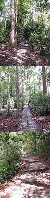Bangunan simpanan kontena yang terbesar di negara dan boleh menyimpan dan menampung sebanyak 110,000 teu, termasuk lebih daripada 2,100 point reefer. Gunung Ledang National Park