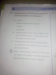 Babamin Gozleri Kedi Gozleri Sorulari Ve Cevaplari