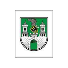 The arms of the city (former german name grünberg in schlesien) show three towers with in the middle the arms of silezia. Zielona Gora Polska Wiki Fandom