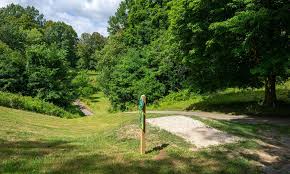 Image result for disc golf