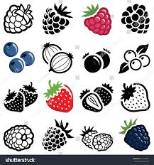 Berry Fruit Icon Collection Raspberry Strawberry And Blackberry Vector Outline And Silhouette Sponsored Affiliate Fruit Icons Icon Collection Berries
