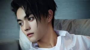 Gu yan zheng x xie xiang/ 顾燕帧 x 谢襄* video by: Xu Kai Rakuten Viki