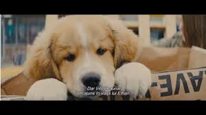 A Dog S Journey Cainele Adevăratul Meu Prieten 2 2019 Trailer Subtitrat In Romană Youtube