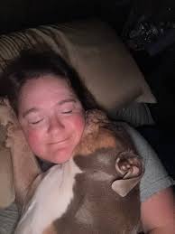 I love English Bulldogs