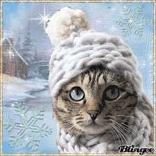 Weitere ideen zu lustige schneebilder, schneebilder, bilder. Ich Mag Es Warm Susse Katzen Bilder Lustige Katzenbilder Katze Weihnachten