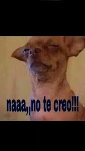 Sign In Mexican Funny Memes Funny Spanish Memes Funny Relatable Memes