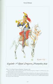 Great Britain Plate 15 1st Royal Dragoon Regiment Trumpeter 1815 Military History War Drums History