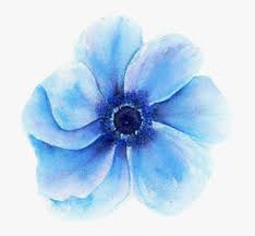 Free Free 267 Transparent Watercolor Flower Svg SVG PNG EPS DXF File