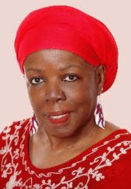 PROMOTING DIVERSITY AND EXCELLENCE IN GSE