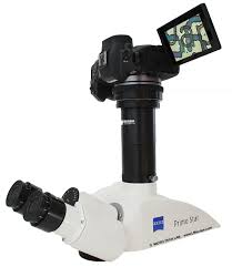 Maybe you would like to learn more about one of these? Test Using The Canon Eos M50 On A Microscope Our Lm Microscope Adapter Solution Allows For Easy Connection To Either Phototube Or Eyepiece Tube