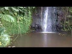 La Cascade De Vaipahi A Tahiti Les Cascades Tahiti Voyage De Noce
