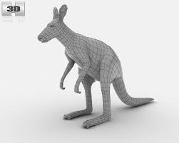 Pin On Animal References