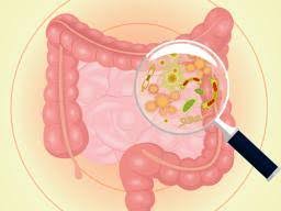 Chronic Fatigue Syndrome Could Altered Gut Bacteria Be A Cause