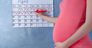 how to calculate pregnancy weeks and months accurately