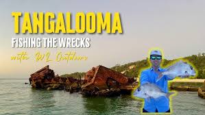 How To See Tangalooma Wrecks On Moreton Island, Australia - Bucket List  Seekers