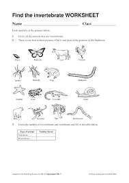 Types Invertebrate Animals Worksheet Science Worksheets Vertebrates And Invertebrates Animal Classification Worksheet