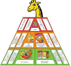 Food Pyramid New Zealand Health Information Blog Food Pyramid Food Group Pyramid Pyramids