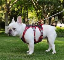 No Pull Dog Harness Step in Reflective Vest with Easy ...