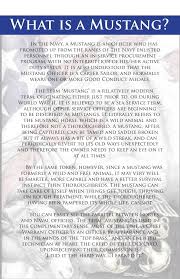 Navy Officer S Creed Google Search Navy Chief Navy Life Navy