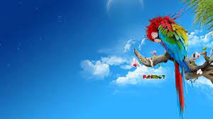 hd wallpapers أحدث صور خلفيات جميلة جدا للكمبيوتر tecnologis parrot wallpaper new wallpaper hd photoshop wallpapers