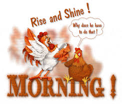 Lovethispic offers snowfall good morning gif pictures, photos & images, to be used on facebook, tumblr, pinterest, twitter and other websites. Good Morning Gif Morning Funny Lovely Gifs Image Download For Whatsapp