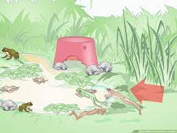 We did not find results for: How To Make A Frog Home In A Garden 12 Steps With Pictures