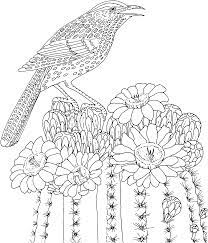 Realistic Flower Coloring Pages 03 Bird Coloring Pages Owl Coloring Pages Animal Coloring Pages