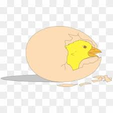 Mesin penetas telur berfungsi untuk menetaskan telur ayam, bebek, burung, dan unggas dengan cara yang efisien. Animasi Telur Ayam Menetas Clipart 5777718 Pikpng
