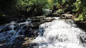 The trail may be a small loop of 2.2 miles, but offers everything you crave from any scenic hike. Adventure Arkansas Tanyard Creek Nature Trail And Waterfalls 5newsonline Com